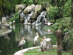 吉隆坡Bird Park 官方网站