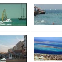 埃及图片库网站