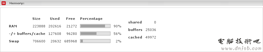 Page which displays the current memory usage