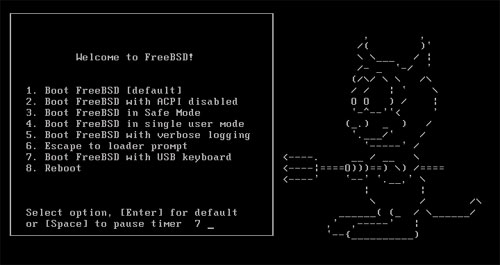 手把手安装FreeBSD 操作系统（图）