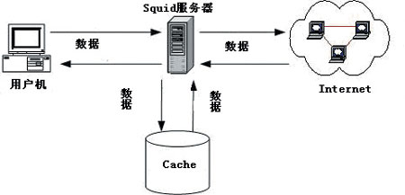 搭建Linux下的Squid代理服务器（图）