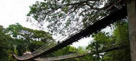 全球13座高空悬索桥惊险无比 吓得人腿抖！