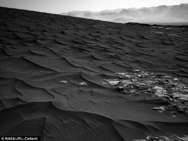 震撼火星森林图 真相竟然是沙丘......