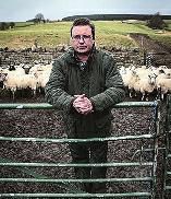 闹什么闹啊！耗时1年花1.5万英镑自证“我羊是我羊”