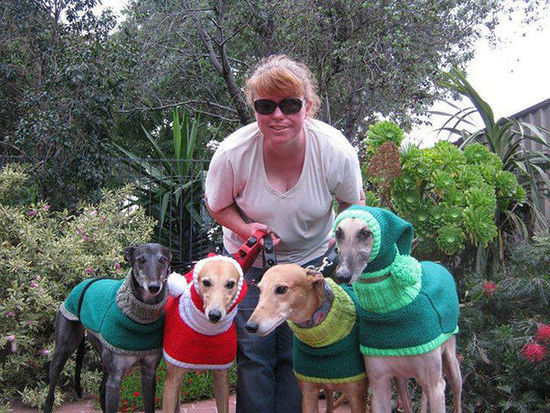 为流浪狗织毛衣 爱心满满啊！好有福的狗狗们！