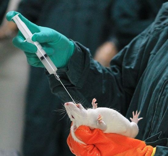 揭秘那些被用于实验的动物：减少它们的痛苦吧