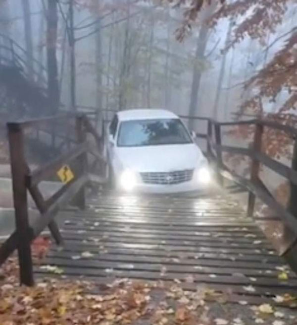 玩大了！加男子开车上木桥致步道塌陷进退两难